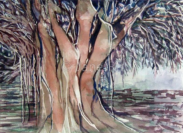 Banyan Tree