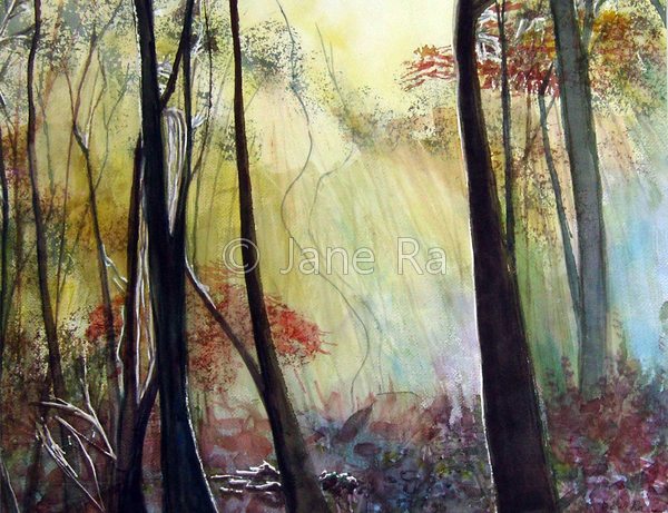 Misty Wood