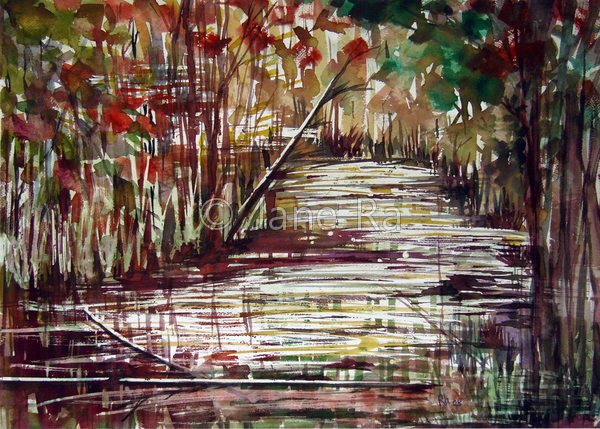 Fall Leaves