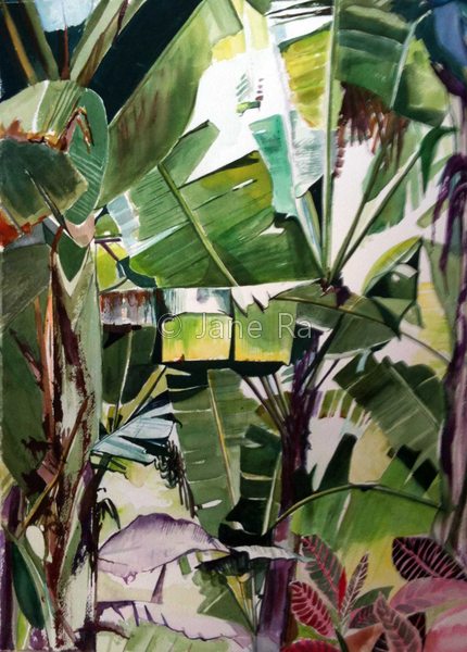 Banana Leaves