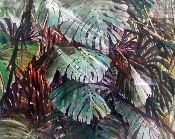 Light through Monstera
