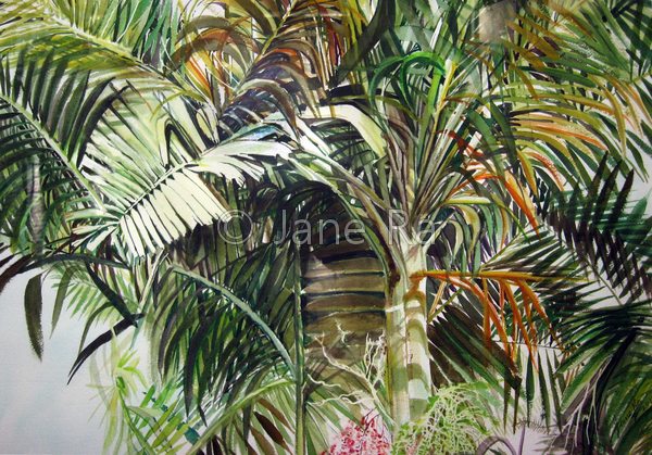 Palm Tree