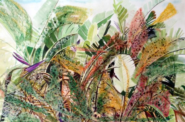 Bird in Tropical Land