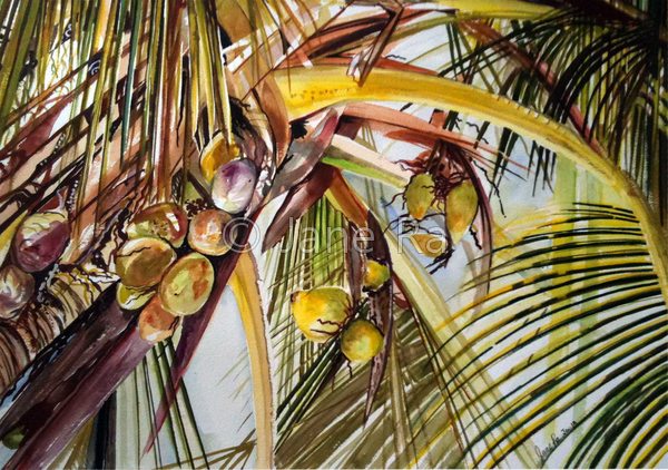 Cocoa Tree