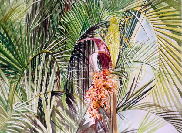 Bayshore Winds