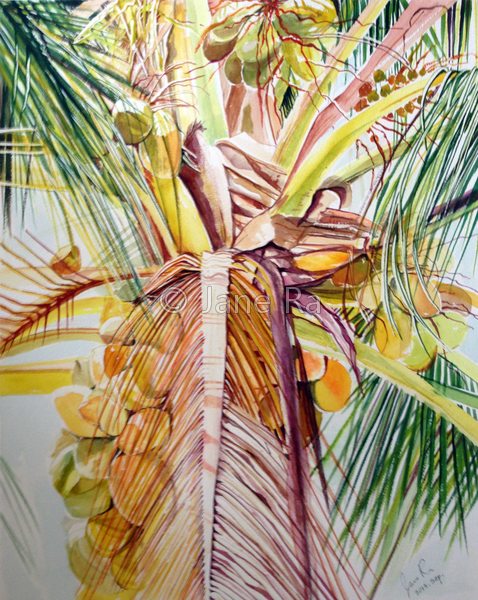 Palm Tree II