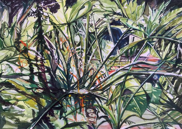 Monstera III