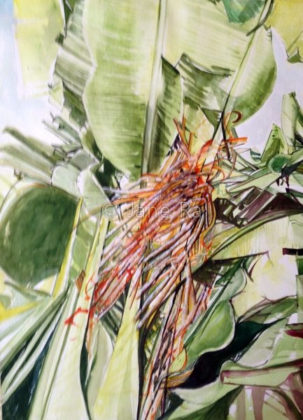 Travelor's Palm