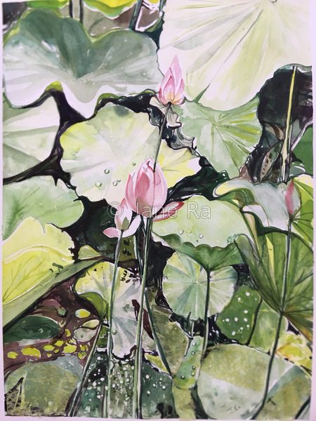 After Rain