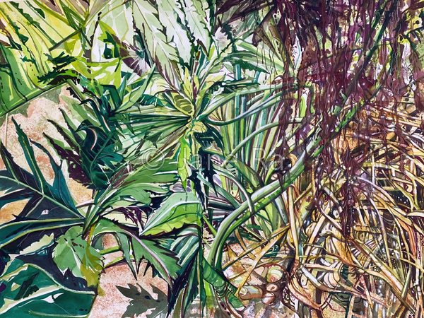 Garden of Monstera