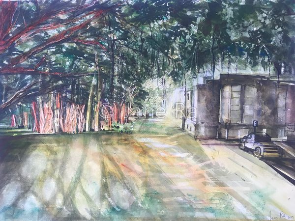 Shadow From Banyan Trees