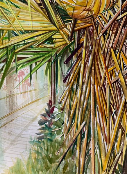 Tropical Roots