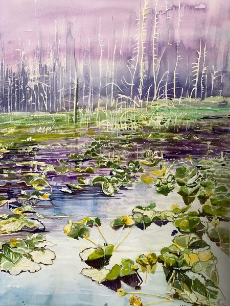 Alaska Pond
