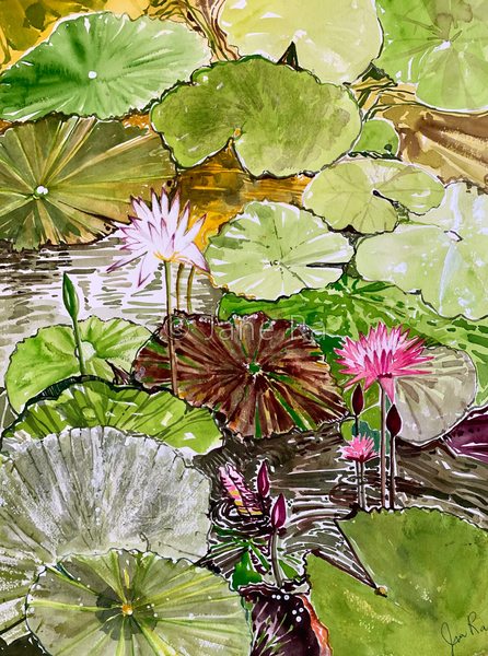 Lotus Garden