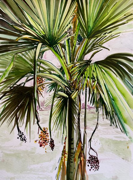Palm tree 2020