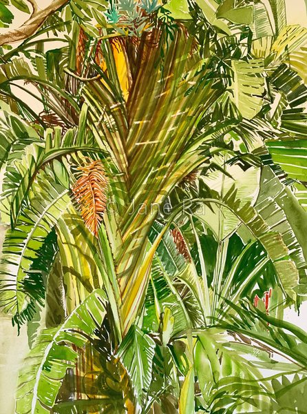 Travelers Palm I
