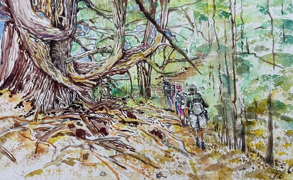 Manoa trail